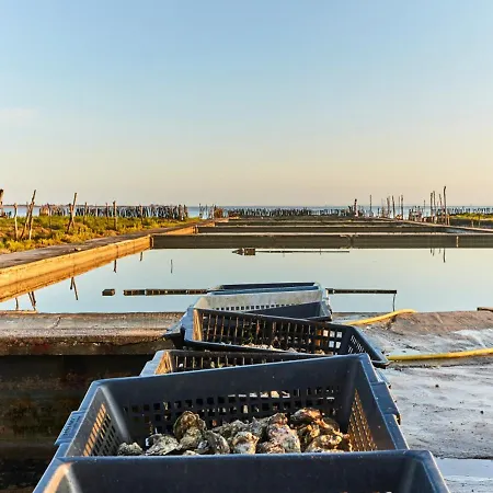Maison Moderne Avec Piscine A Notre-Dame-De-Monts, 6-8 Pers. - Fr-1-540-274 *